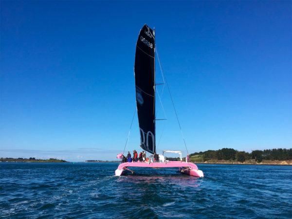 catamaran sailing