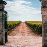 Visiting Vineyards Bordeaux