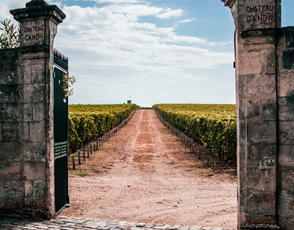 Visiting Vineyards Bordeaux