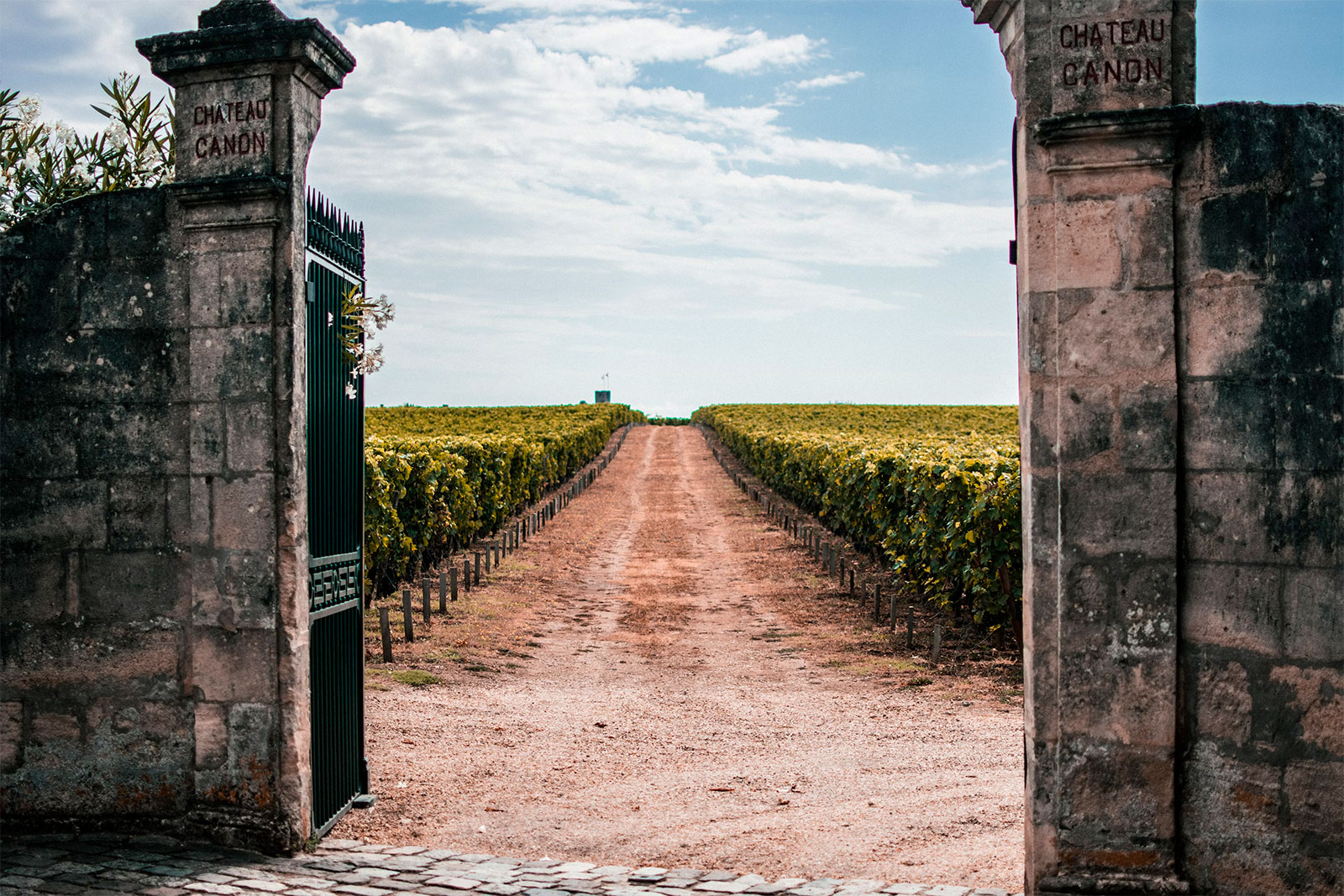 Visiting Vineyards Bordeaux