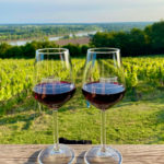 Where to Drink and Taste Wine in Bordeaux