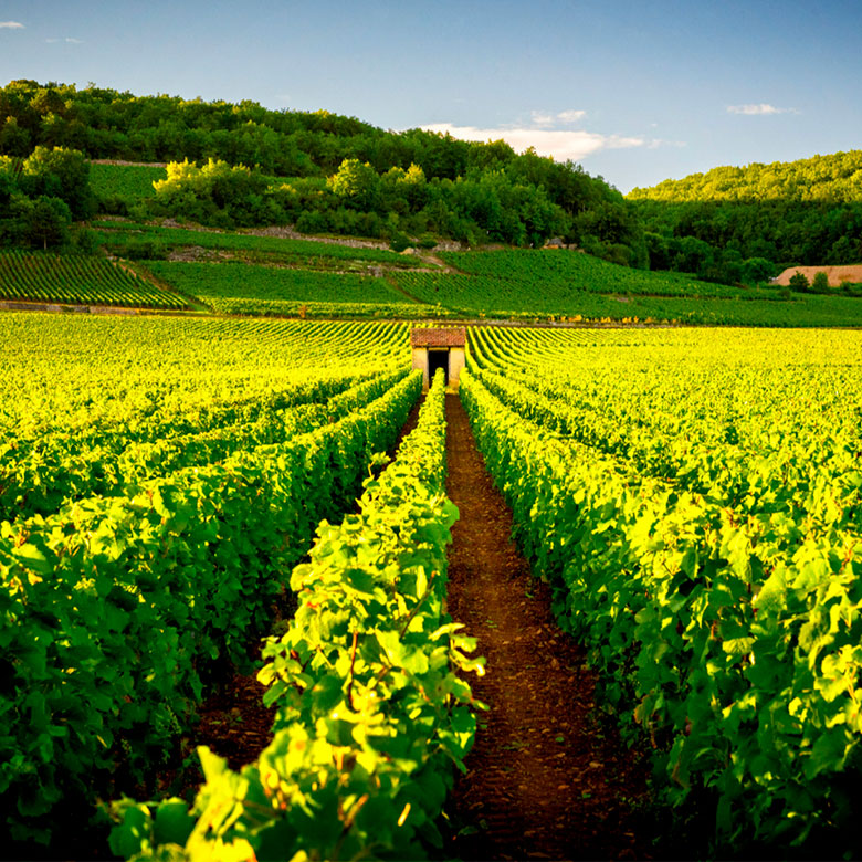 Southwest France