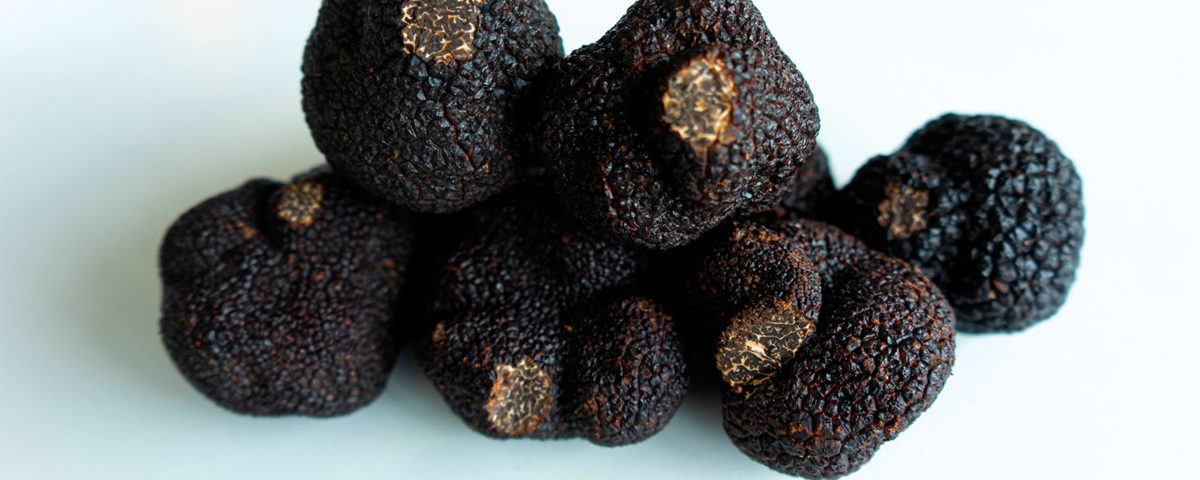 A guide to tasting truffles in France