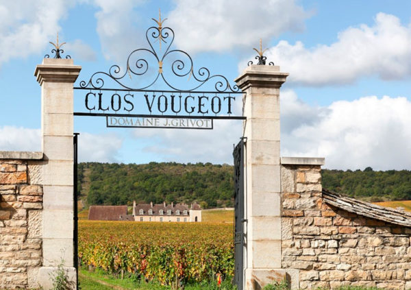 Burgundy wine tour and tastings: vineyards and local domains