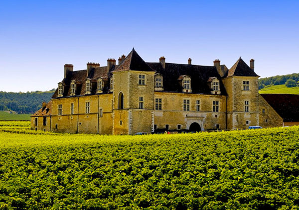 burgundy wine tour