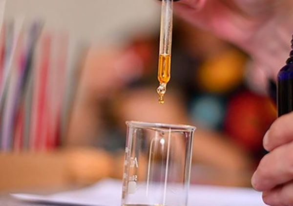 Create Your Own Natural Perfume in Rennes, Brittany