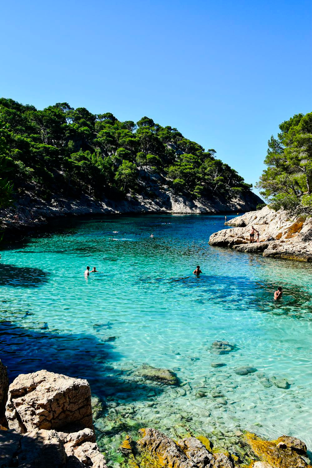 Calanques National Park: A Comprehensive Guide