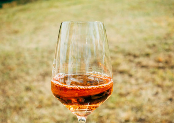 Cognac wine tour and tastings: private vineyard experience