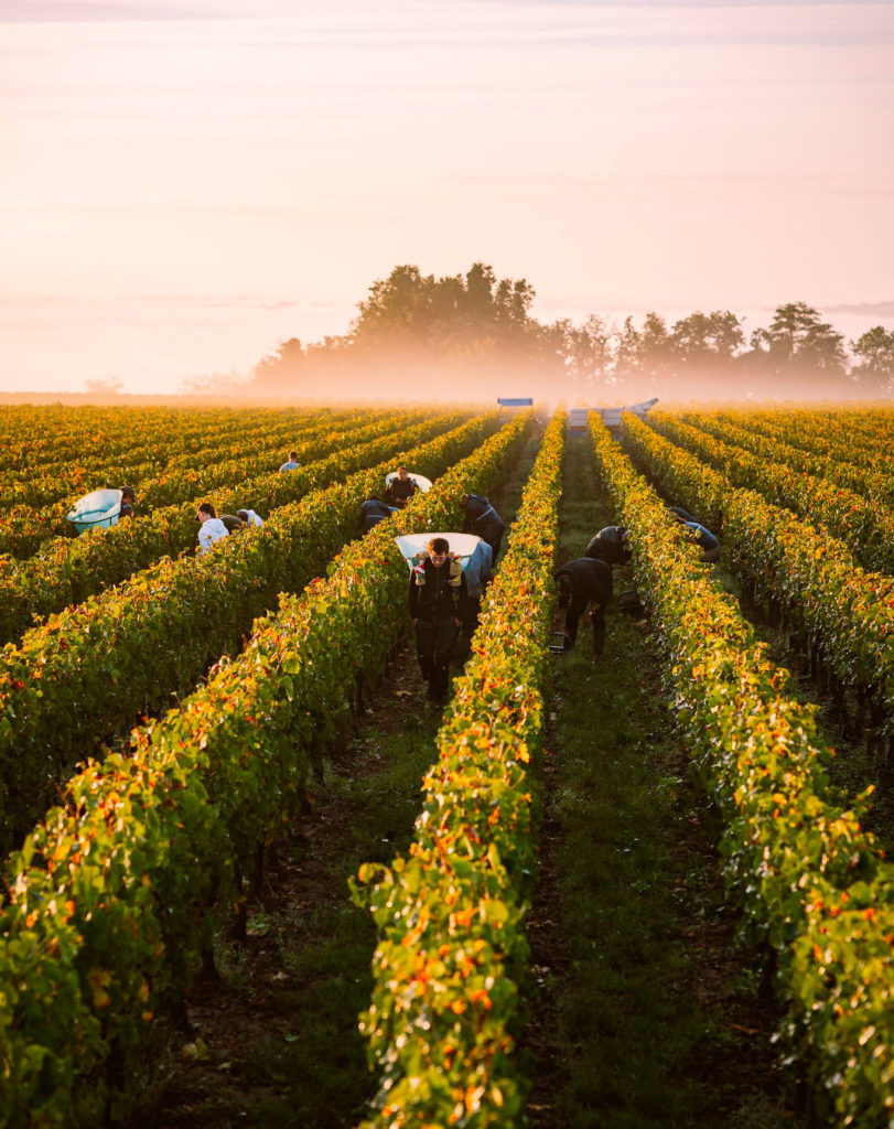The best hidden places to visit in Bordeaux that locals love but tourists often miss?