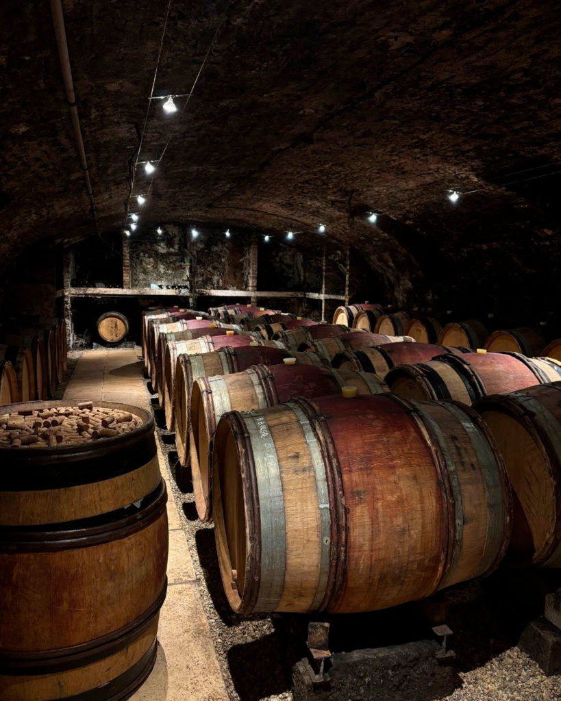 Wine tours in France with Xperience France