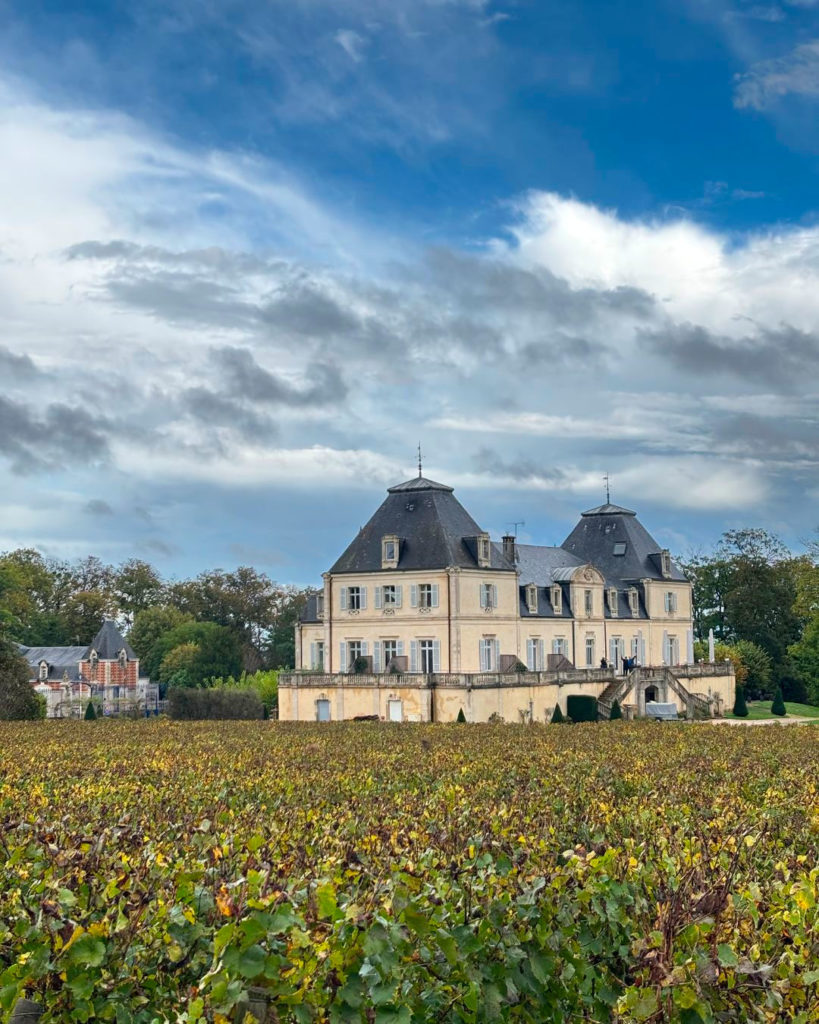 Wine tours in France with Xperience France