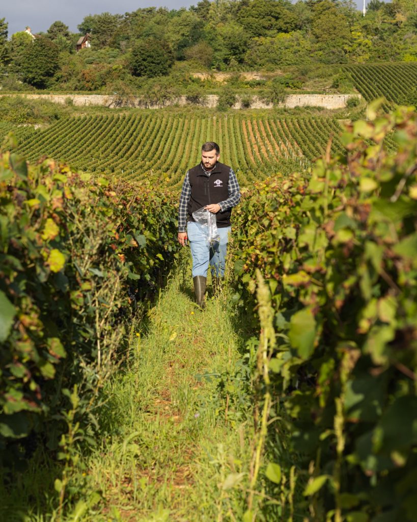 The 20 best estates and cellars in Burgundy for wine tasting