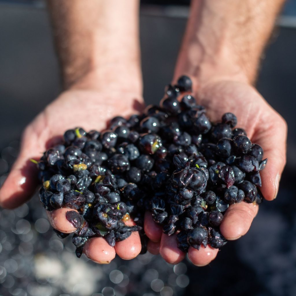The 20 best estates and cellars in Burgundy for wine tasting