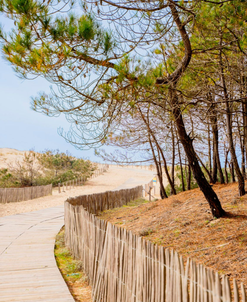 Cap Ferret: The Atlantic's Answer to St Tropez