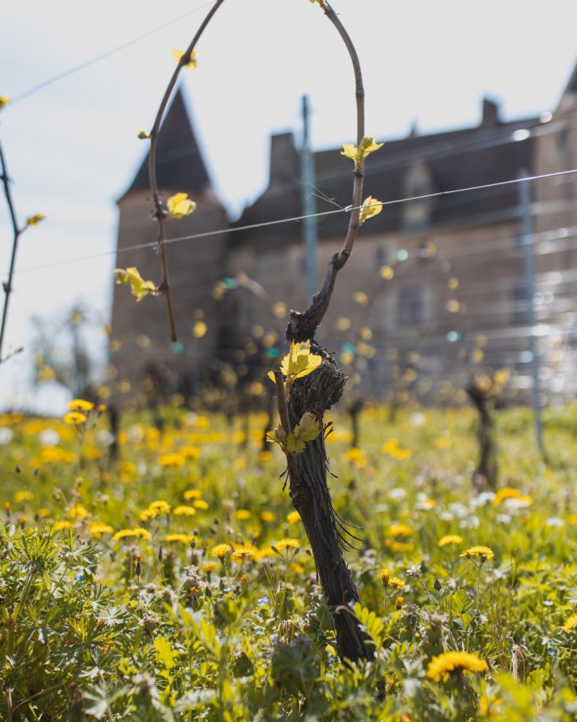 The best Beaujolais estates for wine tasting