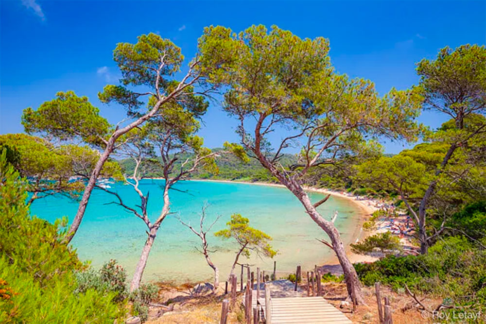 Plage Notre-Dame, Porquerolles