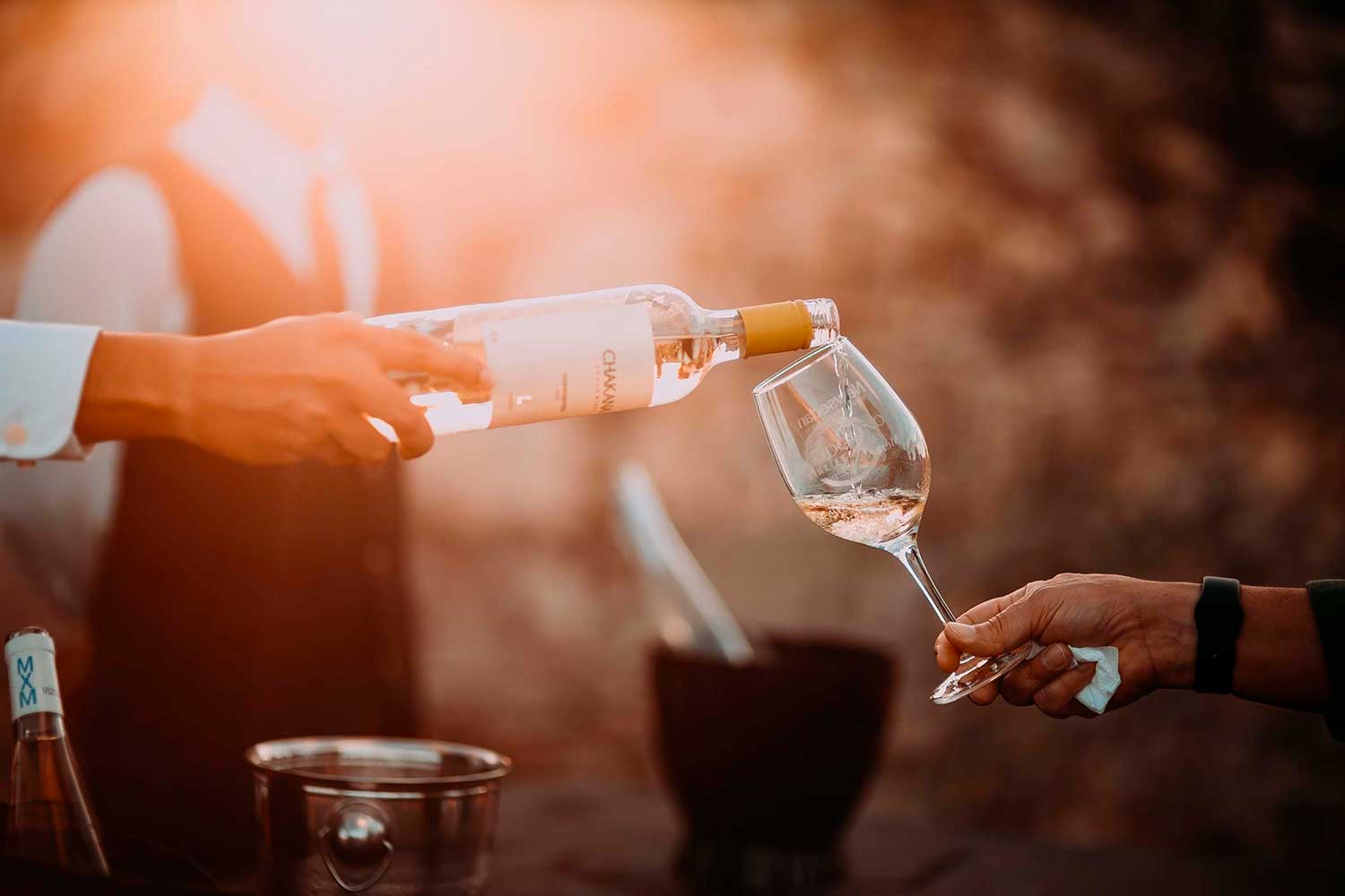 wine tasting